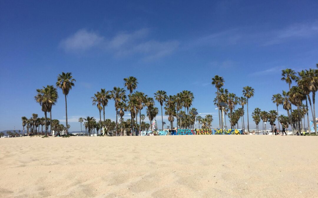 The Benefits of Holiday Break Camps for Busy Families